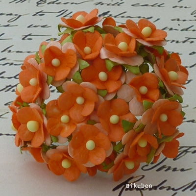 Wild Orchid - Sweetheart Blossom - Orange