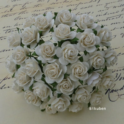 Wild Orchid - Roses 10mm - Ivory