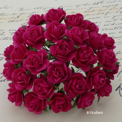 Wild Orchid - Roses 10mm - Fuschia