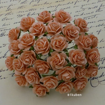 Wild Orchid - Roses 15mm - Peach