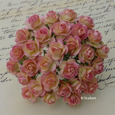 Wild Orchid - Roses 25mm - Champange Pink