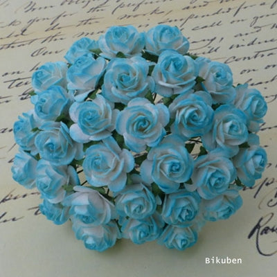 Wild Orchid - Roses 25mm - Light Turquoise