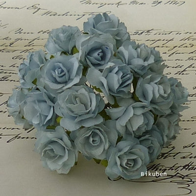 Wild Orchid - Wild Roses - Pale Blue