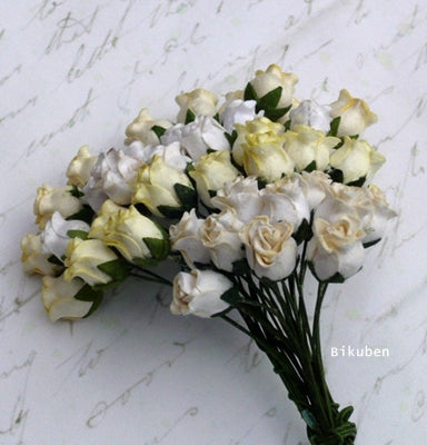 Wild Orchid - Hip Rosebuds - Mixed White/Creams