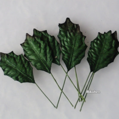 Wild Orchid - Holly Leaves 2 - Green