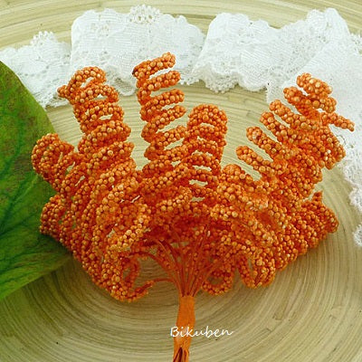 Wild Orchid - Orange Spiral Stamens