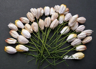 Wild Orchid - Tulip Flowers - Mixed Earth Tone