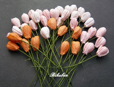 Wild Orchid - Tulip Flowers - Mixed Peach/Orange Tone