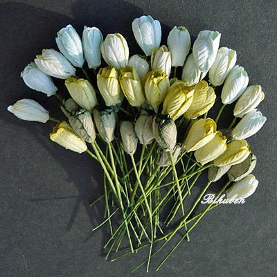 Wild Orchid - Tulip Flowers - Mixed Green Tone