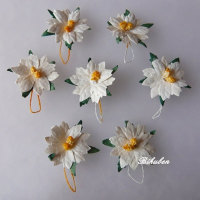 Wild Orchid - Poinsettia Flowers - Small White