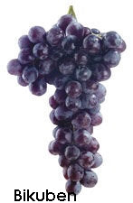 Paperhouse - Diecut - Grapes