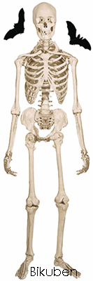 Paperhouse - 3D Title Stickers - Skeleton