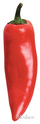 Paperhouse - Diecut - Red Pepper