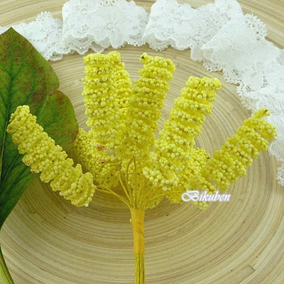 Wild Orchid - Yellow Spiral Stamens