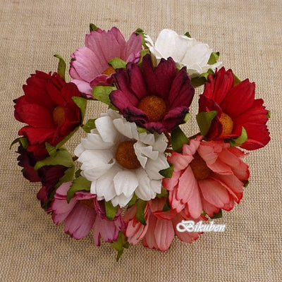 Wild Orchid - Chrysanthemums - Mixed Red/Pink/White