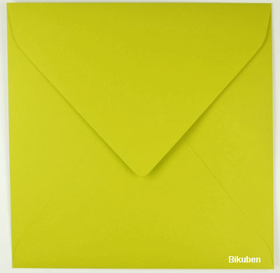 Inkido - kvadratiske konvolutter - Skin Absynthe