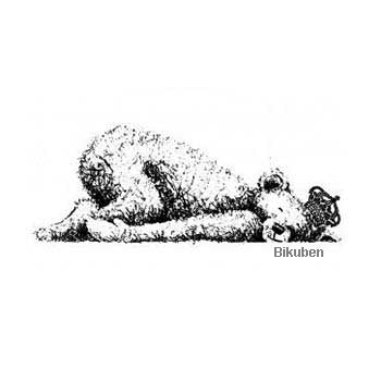 IndigoBlu - Dinkie - Sleeping George - Mounted Stamp