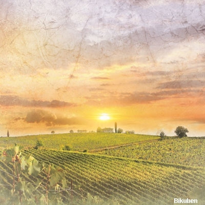 Paper House - Italian Countryside 12x12"