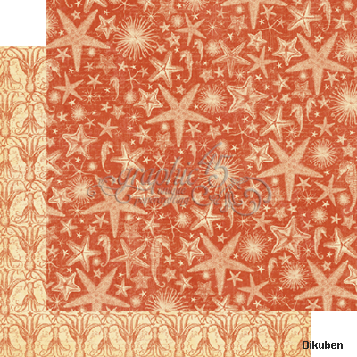 Graphic45 - By the Sea - Gathering Seahells 12x12"