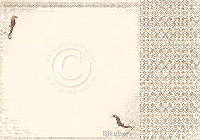 Pion Design - Shoreline Treasures - Seahorse 12x12"