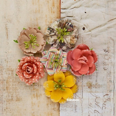 Prima - Princess - Glass Slipper Roses