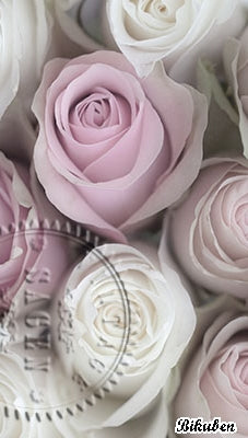 Sagen Vintage Design - Fyrstikkeske - Roser