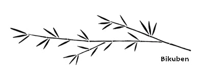 Momenta - Stencil - Longevity