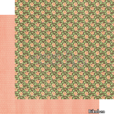 Graphic45 - Come Away with Me - Cosmopolitan 12x12"