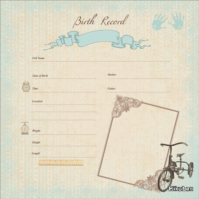 KaiserCraft - Pitter Patter - Birth Record Boy 12x12"