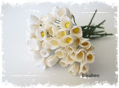 Papirdesign - små tulipaner - Hvit