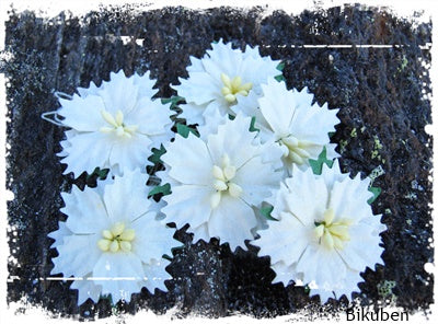 Papirdesign - Blomst - Julestjerner - Hvite