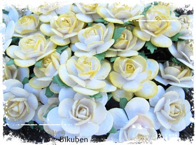 Papirdesign - Roser m/farget kant 2,5cm - Gul
