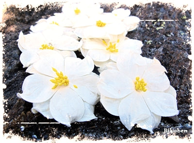 Papirdesign - Asalea  - Hvit