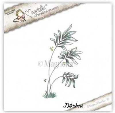 Magnolia - Lovely Duo - Aloha Palm