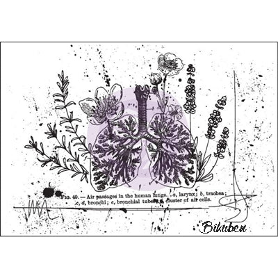 Prima - Mixed Media - Cling Stamp - Treasured Memories 7