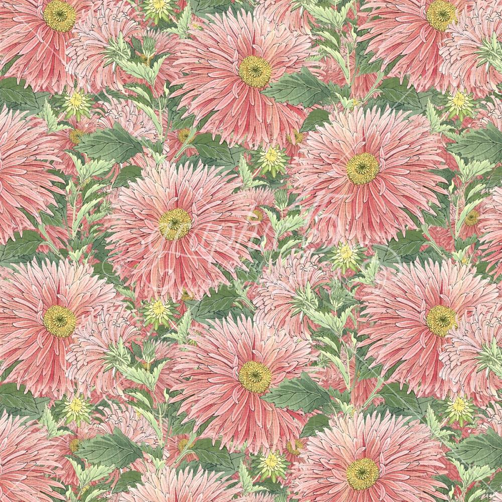 Graphic 45 - Blossom - Brighten - 12x12"