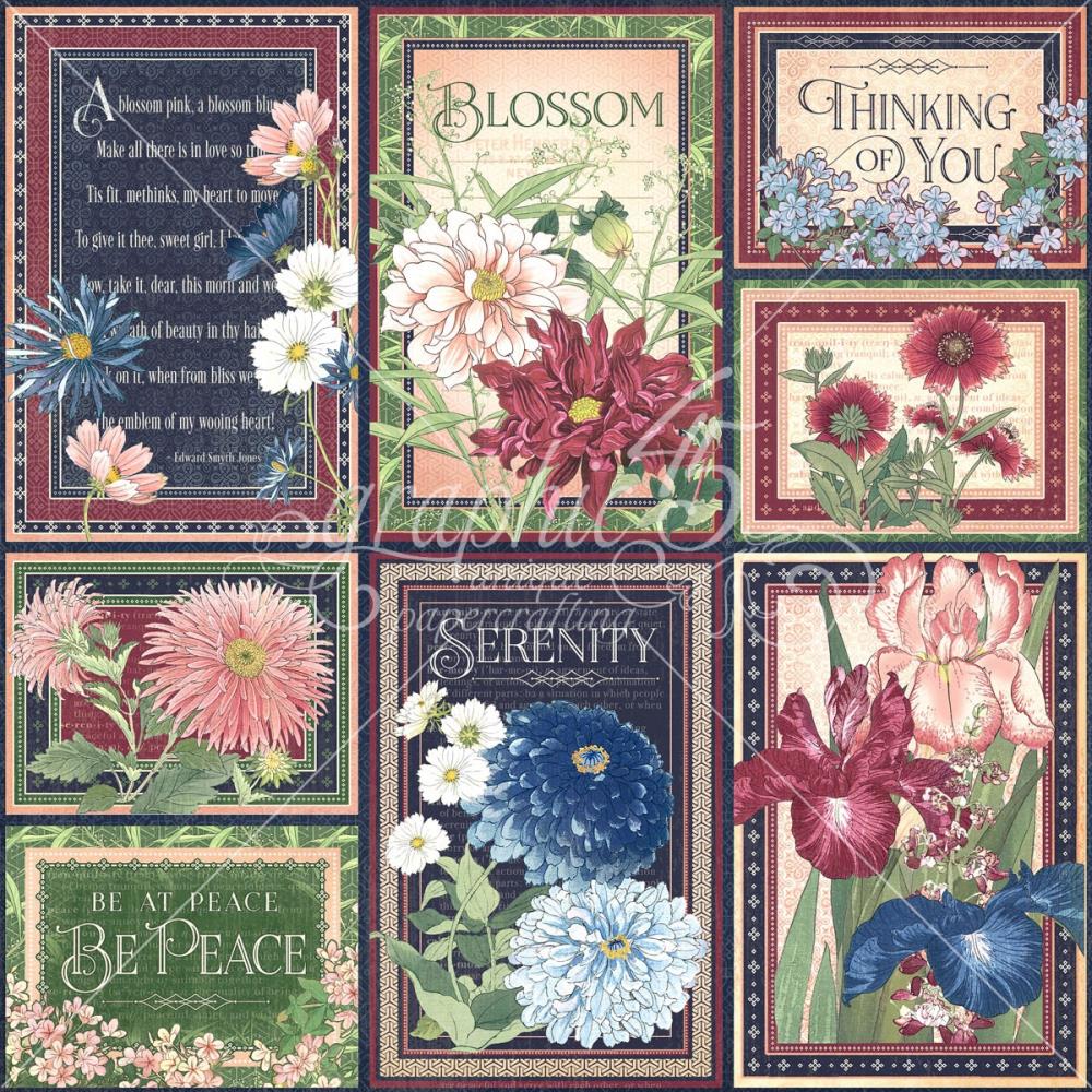 Graphic 45 - Blossom - Delight - 12x12"