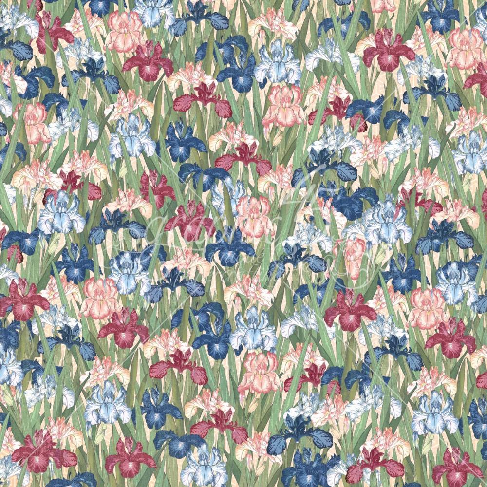 Graphic 45 - Blossom - Uplift - 12x12"