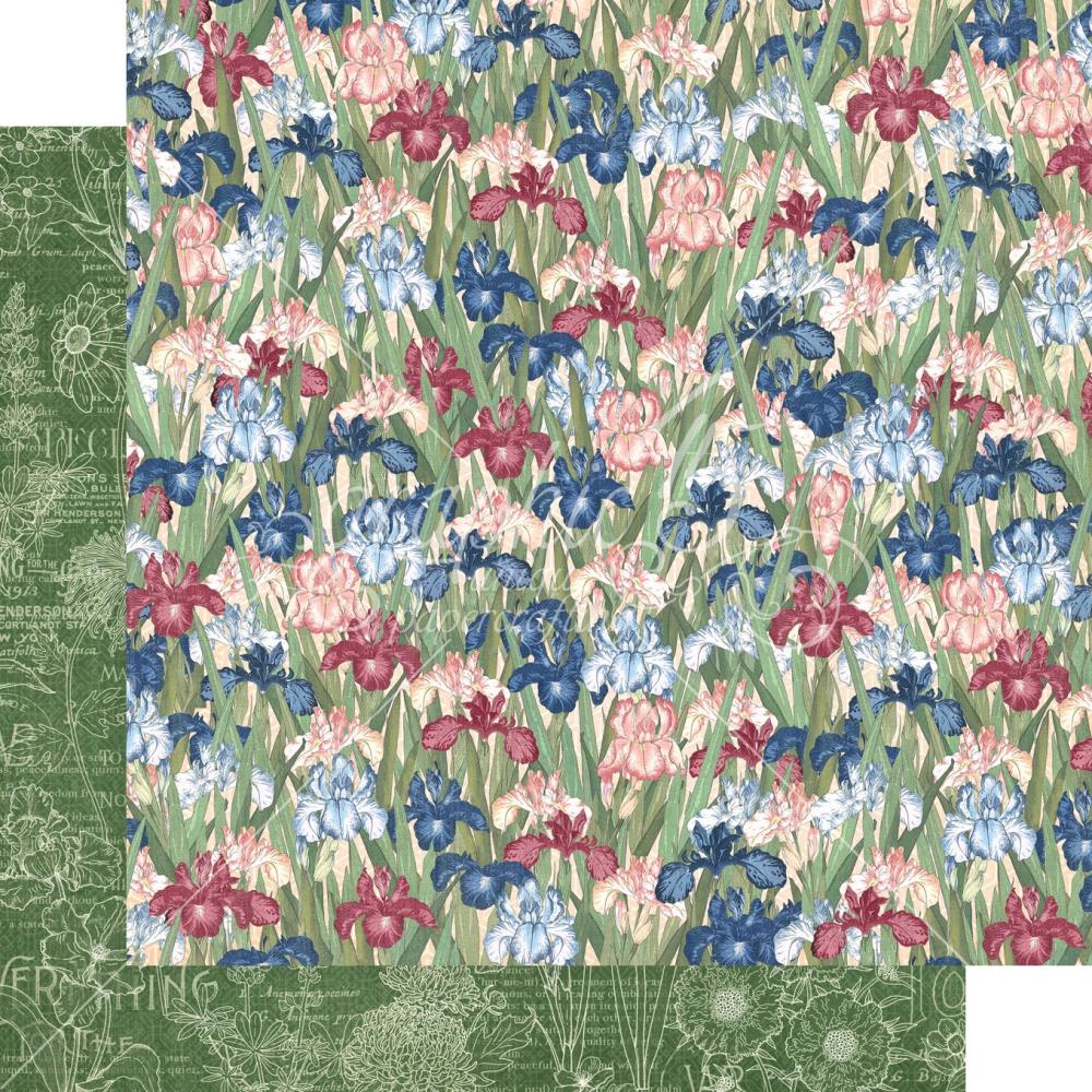 Graphic 45 - Blossom - Uplift - 12x12"