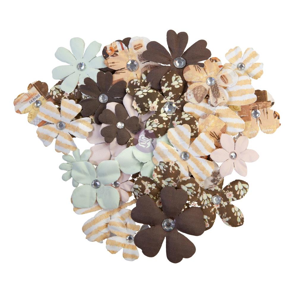 Prima - Golden Desert - Flowers - Nogal