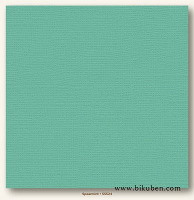 My Colors Cardstock - Canvas - Spearmint 12x12"
