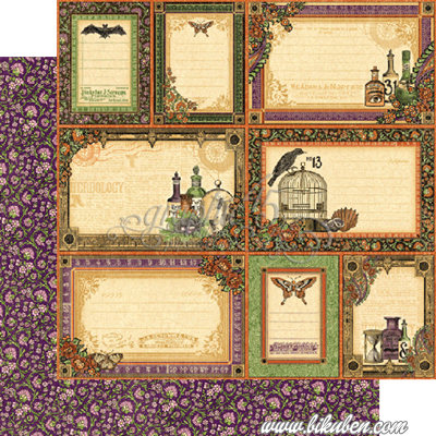 Graphic45 - Rare Oddities - Random Relics 12x12"