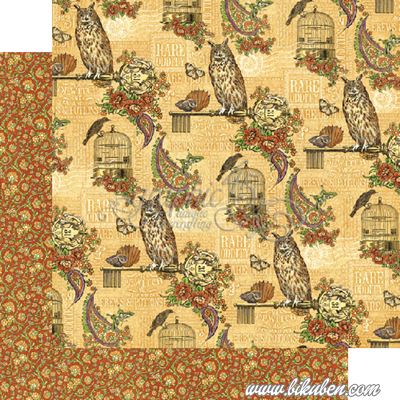 Graphic45 - Rare Oddities - Ghostly Greetings 12x12"