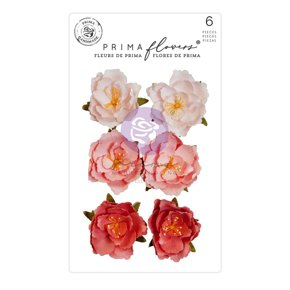 Prima - The plant department - Mulberry Paper Flowers - Rooted