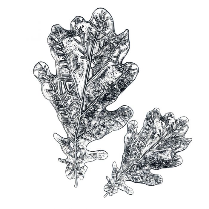 Tim Holtz - 3 D Impresslits Embossing Folder - Oak Leaf