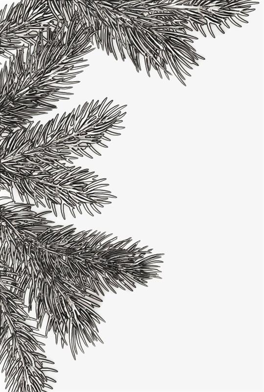 Tim Holtz - Embossing Folder - 3D - Pine Branches