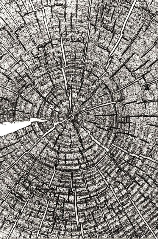 Tim Holtz - Embossing Folder - 3D - Tree Rings