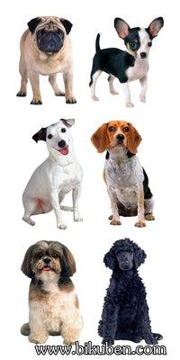 Paper House - Small Mixed Dogs - Sticky Pix