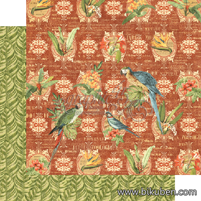 Graphic45 - Safari Adventure - Call of the Wild 12x12"