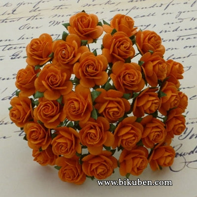 Wild Orchid - Roses 20mm - Orange